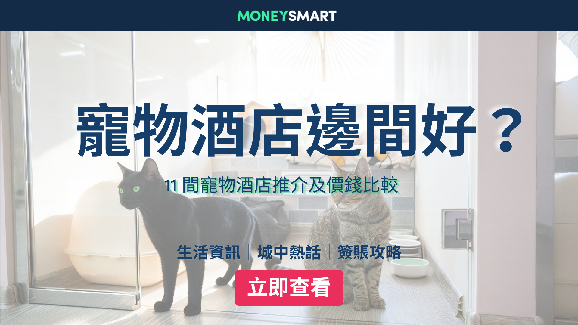 寵物酒店 / 暫托邊間好？11間寵物酒店推介、價錢比較