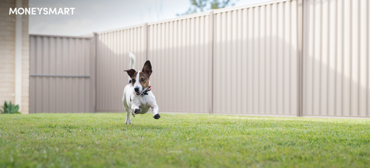 Hong Kong Pet Insurance Comparison 2023—OneDegree/Blue Cross/FWD/Prudential Price & Coverage