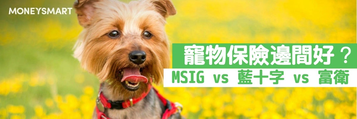 毛孩生病