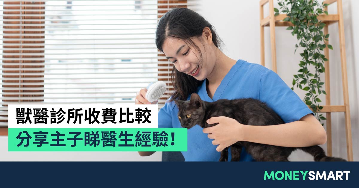 香港獸醫診所收費2026｜貓狗身體檢查要幾錢？分享主子真實經驗！