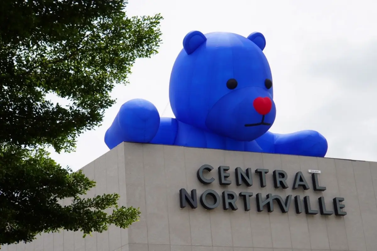 Central Northville northy bear